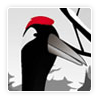 avatar15.png