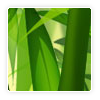 avatar19.png